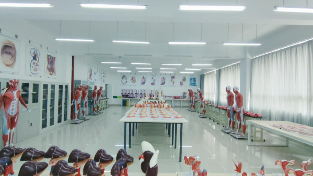 2026世界杯官方合作网站特色专业 | 医学影像技术