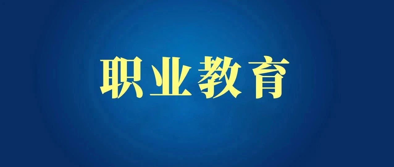 职业教育境外办学服务海外中资企业属地化人才需求的研究与实践