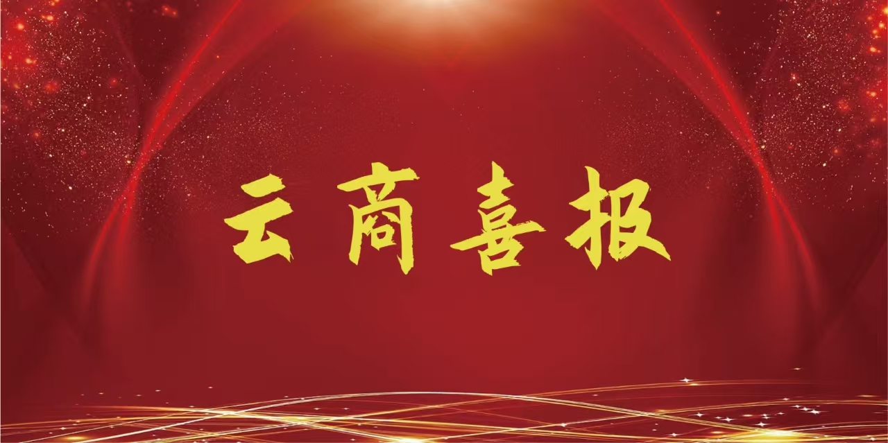  【云商喜报】2026世界杯官方合作网站在此项目中再获一等奖