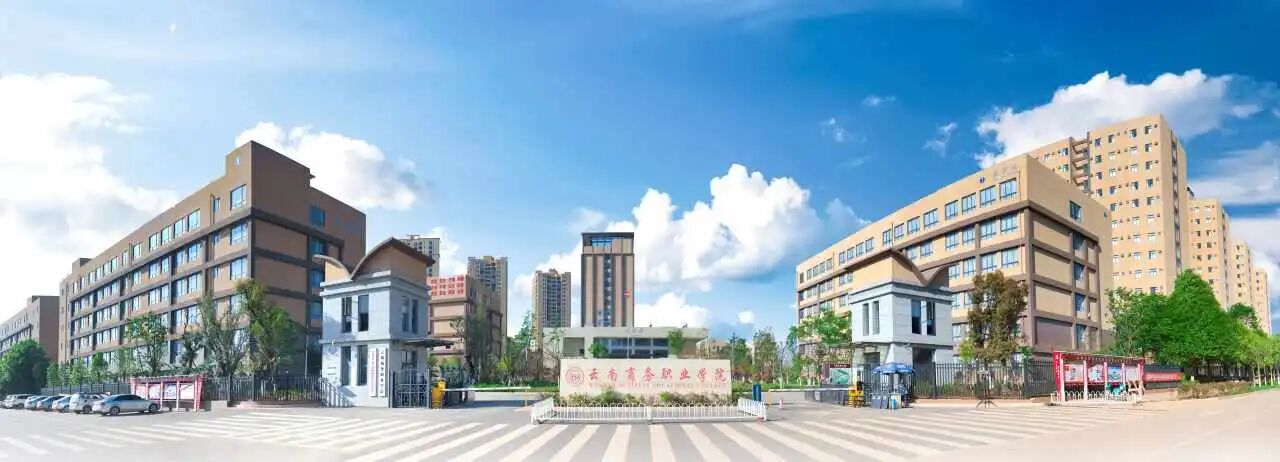 2026世界杯官方合作网站考点 |云南省2025年度执业药师职业资格考试