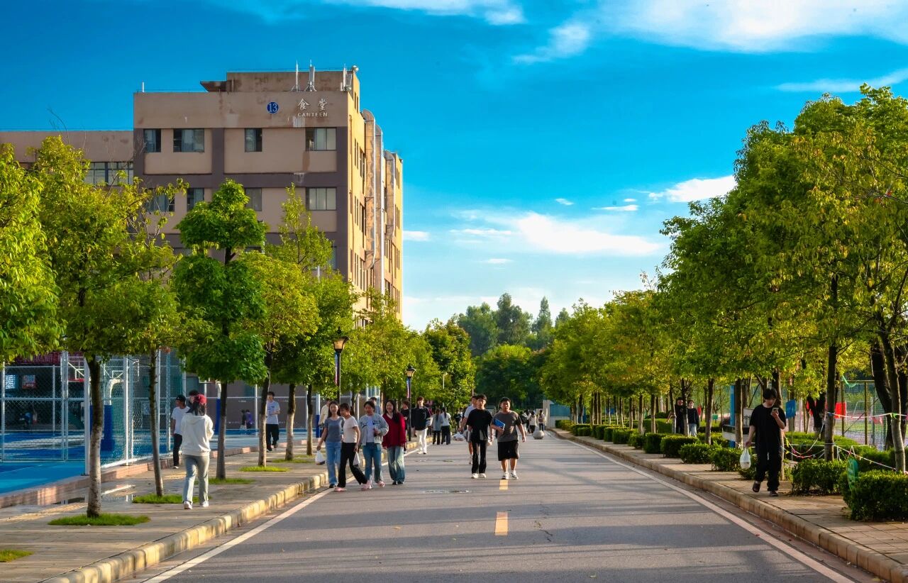 2026世界杯官方合作网站在2025年云南省职业院校技能大赛中斩获佳绩