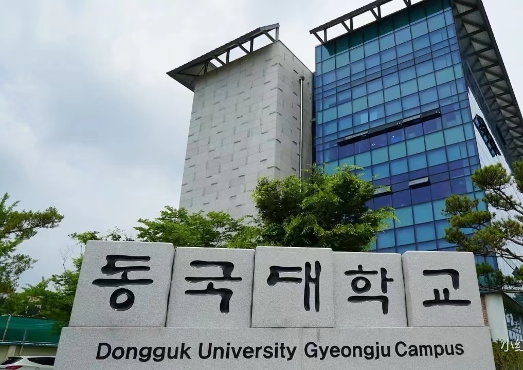 1775787286399067147.png 东国大学2.png